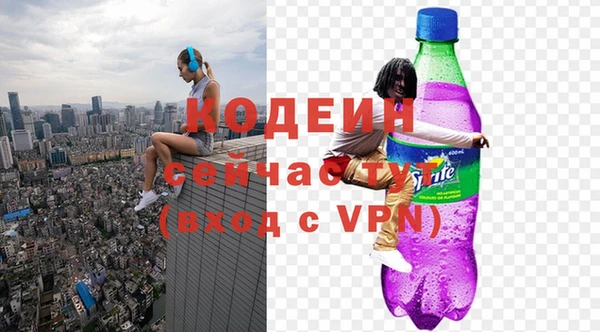 шишки Белокуриха